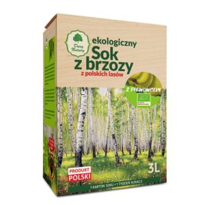 Сок от бреза и дюля Био, 3 l