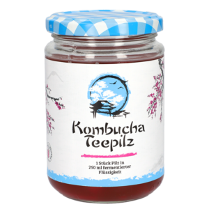 Подсилва имунитета - Комбуча Чаена гъба с ферментирал плодов чай, 200 ml