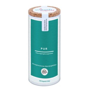 Пробиотик Стрептококус термофилус – Здрав чревен микробиом и храносмилане, 2 млрд. CFU, 290 капсули